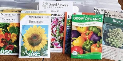 سایت فروش اینترنتی انواع بذر با کیفیت و فروش آنلاین انواع بذرهای ایرانی و خارجی مرغوب گلخانه ای و فضای باز به همراه مشاوره آنلاین - بازاریابی هدفمند