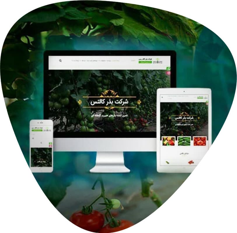 سایت فروش اینترنتی انواع بذر با کیفیت و فروش آنلاین انواع بذرهای ایرانی و خارجی مرغوب گلخانه ای و فضای باز به همراه مشاوره آنلاین - مراحل ایجاد سایت برای فروش اینترنتی انواع بذر، کدامند؟