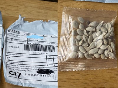 خرید اینترنتی آنلاین بذر با کیفیت و خرید آنلاین انواع بذرهای ایرانی و خارجی مرغوب گلخانه ای و فضای باز به همراه مشاوره آنلاین خرید اینترنتی آنلاین بذر خرید بذر آنلاین خرید آنلاین بذر میوه خرید بذر انلاین بذر آنلاین بذر انلاین خرید بذر اینترنتی بذر خرید آنلاین بذر خرید بذر خرید اینترنتی بذر خرید بذر سبزیجات - سیاست‌های بازپرداخت