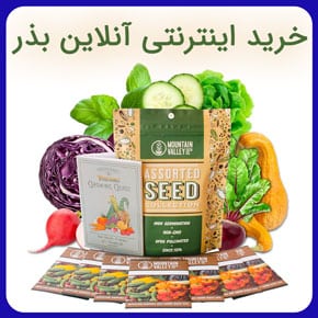 خرید اینترنتی آنلاین بذر با کیفیت و خرید آنلاین انواع بذرهای ایرانی و خارجی مرغوب گلخانه ای و فضای باز به همراه مشاوره آنلاین خرید اینترنتی آنلاین بذر خرید بذر آنلاین خرید آنلاین بذر میوه خرید بذر انلاین بذر آنلاین بذر انلاین خرید بذر اینترنتی بذر خرید آنلاین بذر خرید بذر خرید اینترنتی بذر خرید بذر سبزیجات