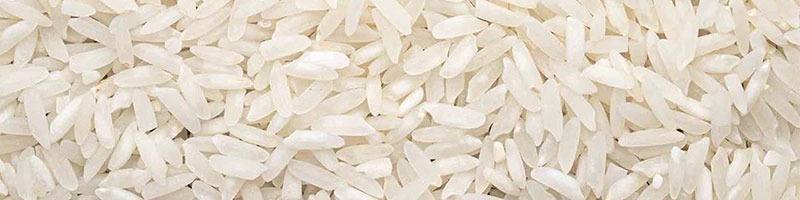 خرید بذر هیبرید و معرفی انواع بذر هیبرید در ایران و خرید اینترنتی بهترین نوع بذر هیبریدی و گلخانه ای با قیمت مناسب و ارسال به سراسر کشور - ارقام برنج هیبریدی