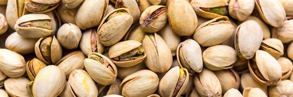 فروش بذر و نشا و نهال و قیمت بذر و نهال و خرید و فروش بذر و نهال به صورت عمده و جزیی و فروشگاه بذر و نهال و مشاوره رایگان + سفارش آنلاین - پسته