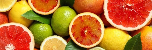 فروش بذر و نشا و نهال و قیمت بذر و نهال و خرید و فروش بذر و نهال به صورت عمده و جزیی و فروشگاه بذر و نهال و مشاوره رایگان + سفارش آنلاین - مرکبات