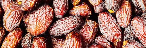 فروش بذر و نشا و نهال و قیمت بذر و نهال و خرید و فروش بذر و نهال به صورت عمده و جزیی و فروشگاه بذر و نهال و مشاوره رایگان + سفارش آنلاین - نخل خرما
