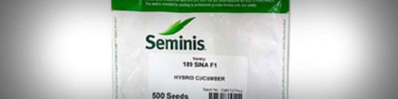 بذر خیار گلخانه ای و بهترین بذر خیار گلخانه ای و معرفی بهترین نوع بذر خیار گلخانه ای تک گل میان گل و پرگل و تهیه انواع بذر خیار بدون واسطه و انواع بذر خیار گلخانه ای بهاره و بذر خیار گلخانه ای مقاوم به سرما و بهترین بذر خیار گلخانه ای پاییزه و طریقه کاشت بذر خیار گلخانه ای - نکات مهم در انتخاب بهترین نوع بذر خیار گلخانه ای