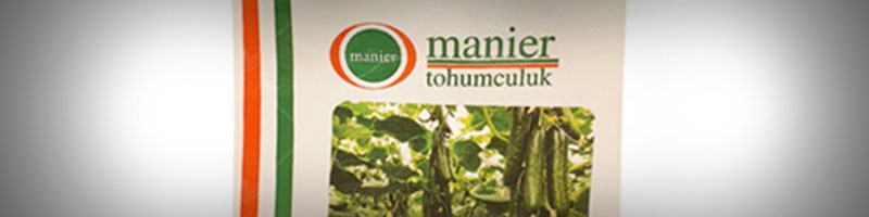 بذر خیار گلخانه ای و بهترین بذر خیار گلخانه ای و معرفی بهترین نوع بذر خیار گلخانه ای تک گل میان گل و پرگل و تهیه انواع بذر خیار بدون واسطه و انواع بذر خیار گلخانه ای بهاره و بذر خیار گلخانه ای مقاوم به سرما و بهترین بذر خیار گلخانه ای پاییزه و طریقه کاشت بذر خیار گلخانه ای - نکات مهم در انتخاب بهترین نوع بذر خیار گلخانه ای