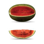 ادیت هندوانه رزالین- copy