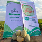 ممممممممماگنو