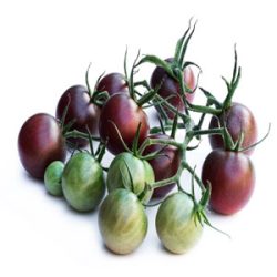 Buying-Red-Cherry-Tomato-Seed-Black-Cherry-Tomato-Seeds خرید بذر گوجه چری قرمز گیلاسی عمده و جزیی و قیمت خرید بذر گوجه قرمز گیلاسی گلخانه ای و نحوه کاشت بذر گوجه گیلاسی مشاوره رایگان و ارسال سریع خرید بذر گوجه گیلاسی خرید بذر گوجه گیلاسی گلدانی قیمت بذر گوجه گیلاسی خرید بذر گوجه فرنگی تهیه بذر گوجه گیلاسی خرید بذر گوجه فرنگی گلخانه ای بذر گوجه گیلاسی بذر گوجه گیلاسی گلخانه ای بذر گوجه گیلاسی گلدانی بذر گوجه گیلاسی فضای باز بذر گوجه گیلاسی بذر گوجه گیلاسی سیاه بذر گوجه گیلاسی خوشه ای بذر گوجه گیلاسی زرد بذر گوجه گیلاسی قرمز بذر گوجه گیلاسی زیتونی -بذر گوجه گیلاسی سیاه